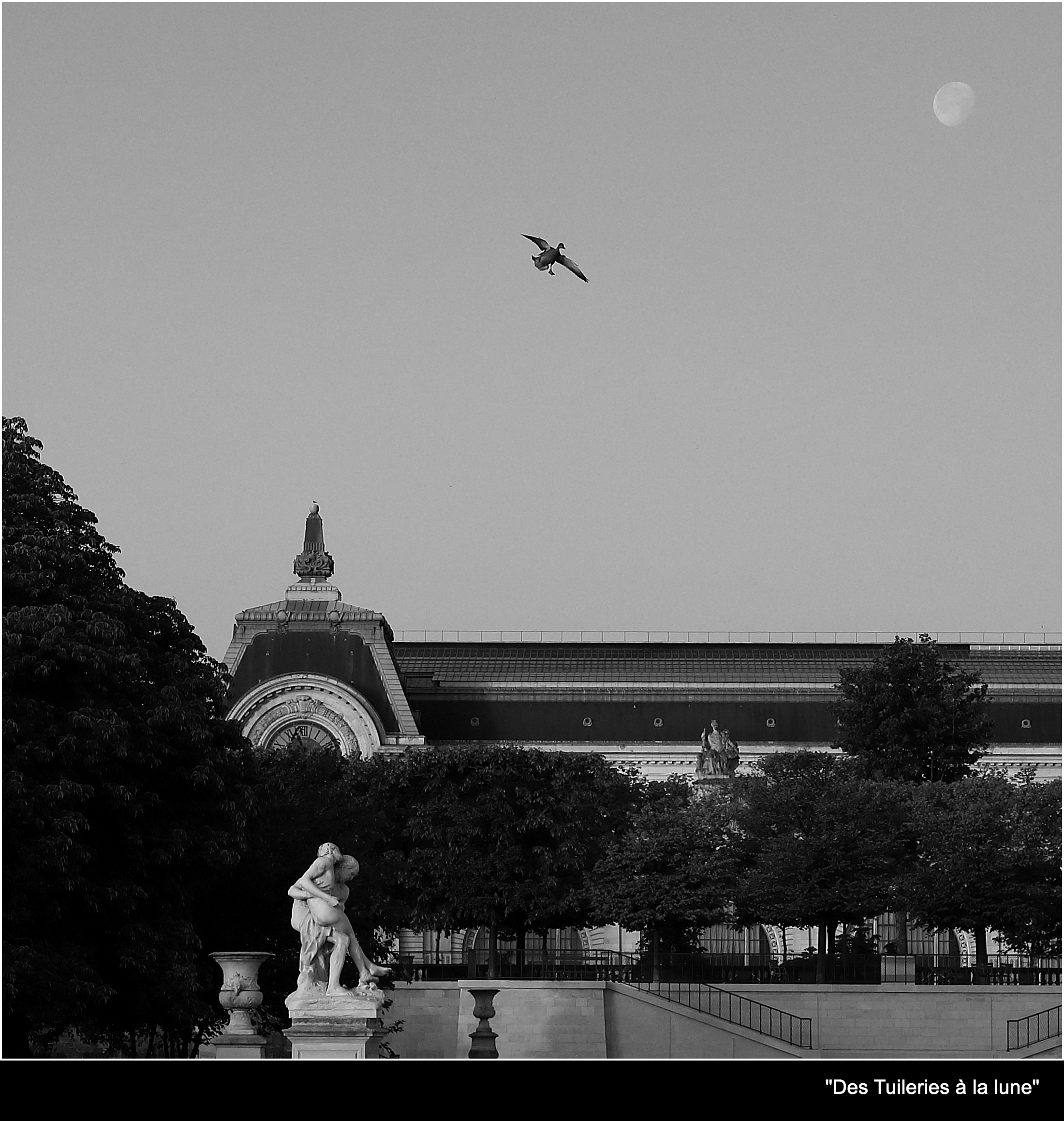 un canard semble s'envoler duGrand Palais en direction de la lune