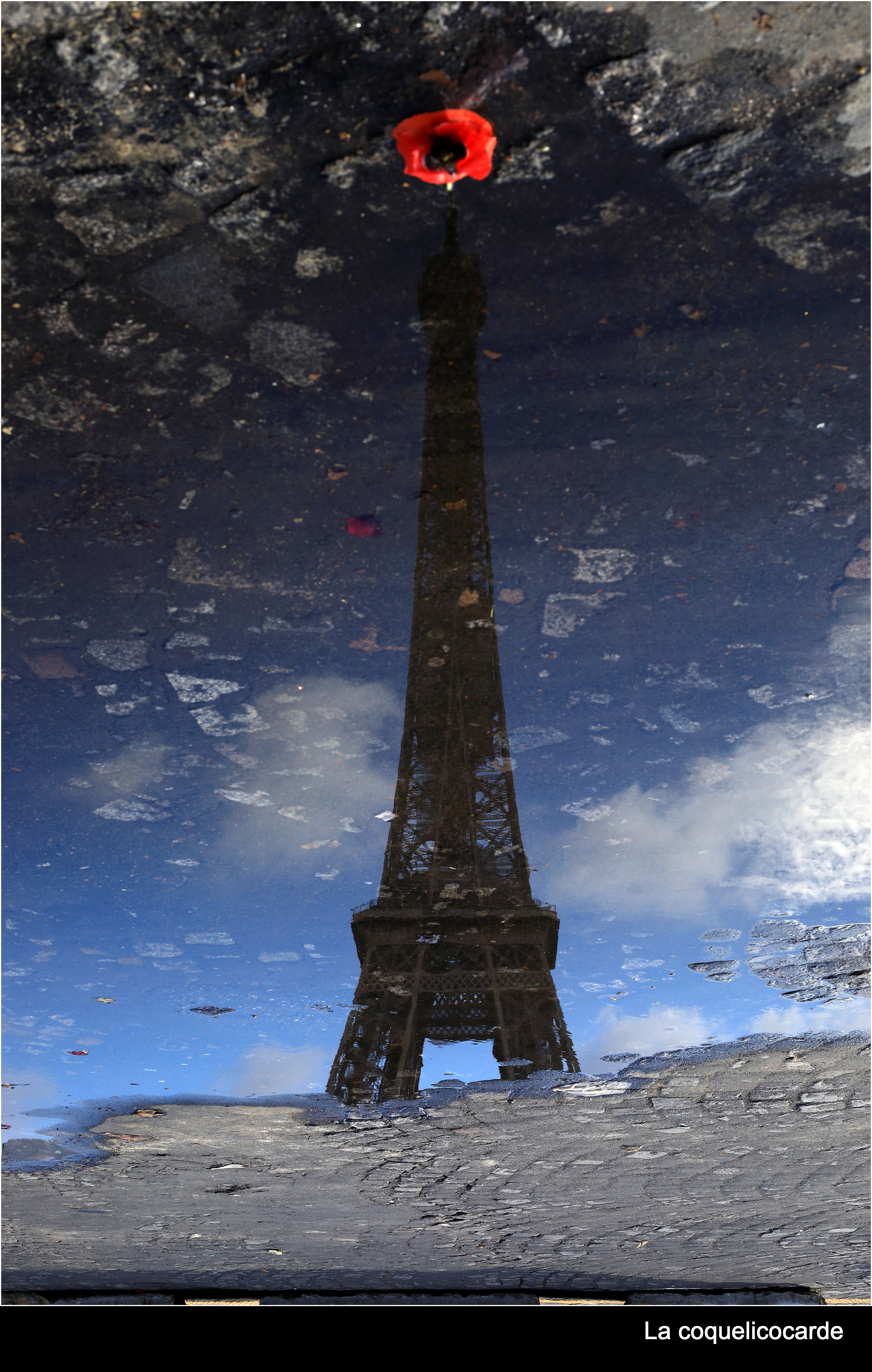 reflets mêlés de la tour eiffel et d'un coquelicot qui appraît juste au-dessus du haut de la tour Eiffel